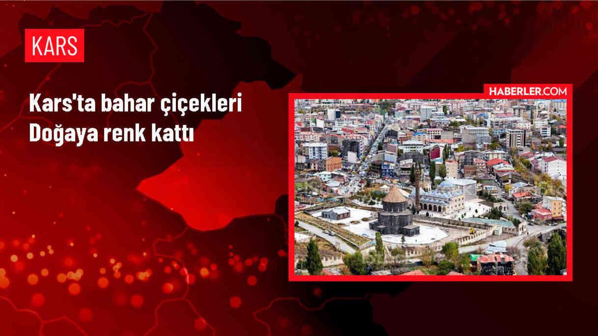 Kars'ta Bahar Çiçekleri Doğaya Renk Katıyor