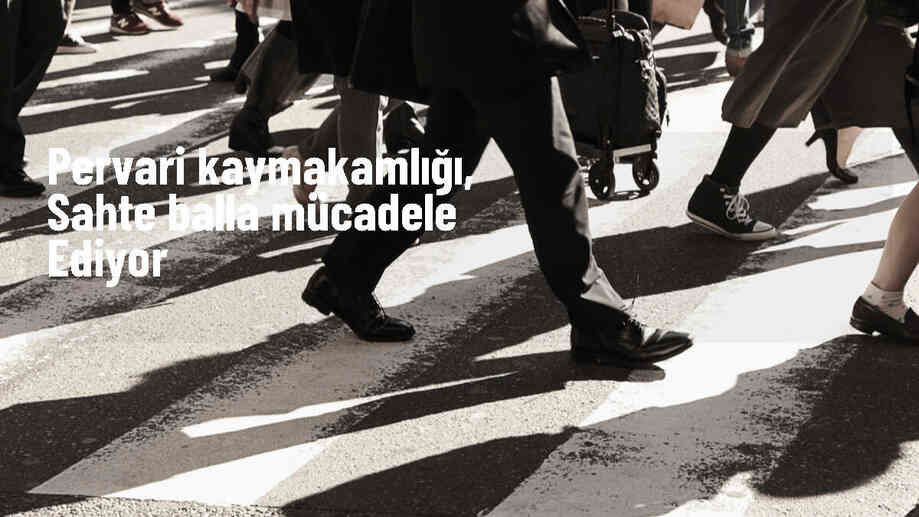Pervari Kaymakamlığı, sahte Pervari balına karşı denetim yapıyor