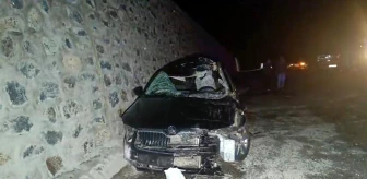 Bingöl'de trafik kazasında otomobil başıboş ata çarptı: 1 ölü, 5 yaralı