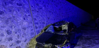 Bingöl'de Otomobilin Ata Çarpması Sonucu 1 Kişi Öldü, 5 Kişi Yaralandı
