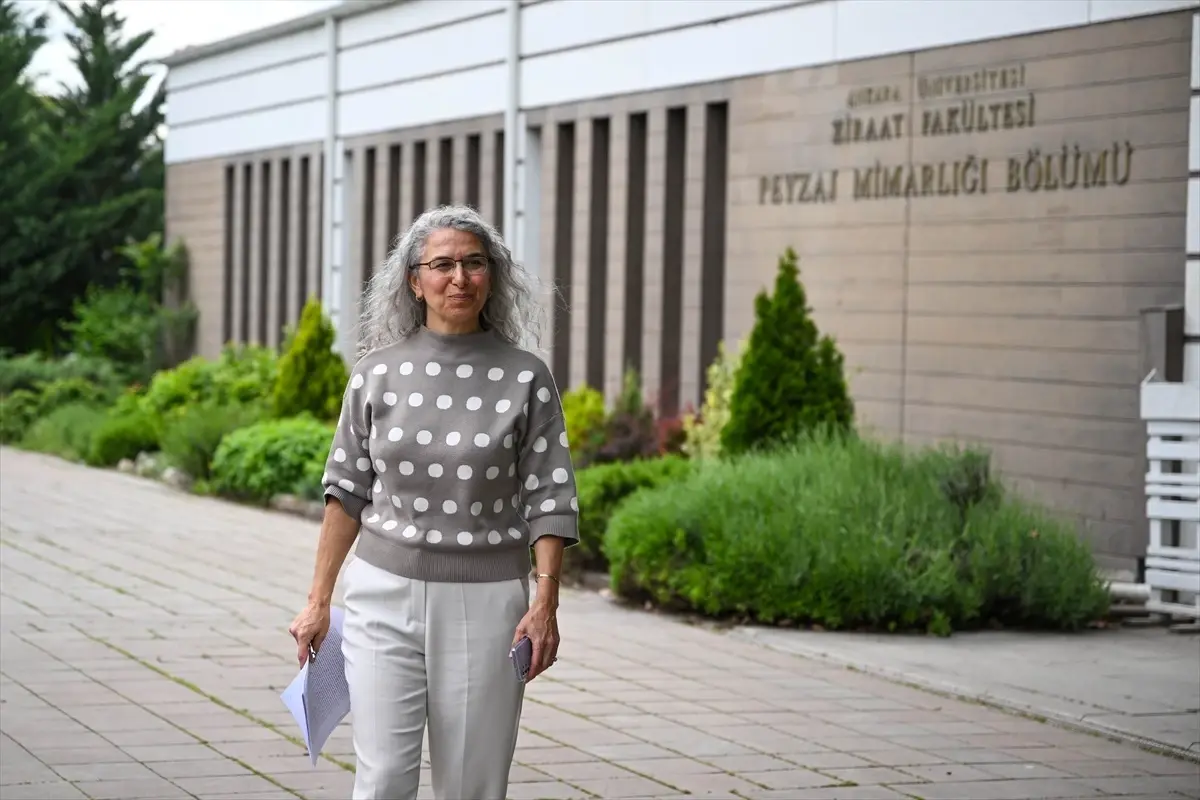 IFLA 60. Dünya Kongresi İstanbul'da yapılacak