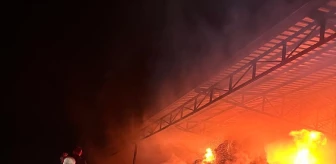 Aydın'ın Nazilli ilçesinde çiftlik yangını söndürüldü