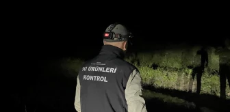 Beyşehir Gölü'nde Yasa Dışı Avlananlara Cezai İşlem Uygulandı