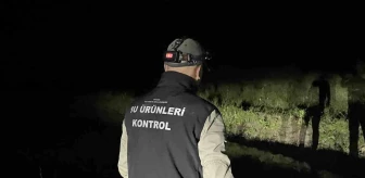 Beyşehir Gölü'nde yasa dışı avlananlara ceza