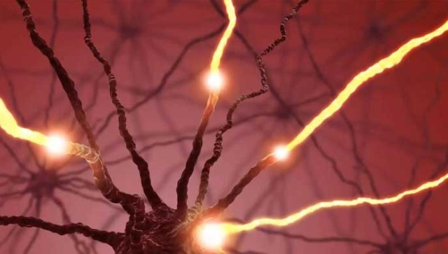 Gama Beyin Dalgaları: Ne İşe Yarar ve Nasıl Artırılır?