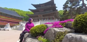 Kültürel mirası, doğal güzellikleri, saraylarıyla Güney Kore'yi keşfedin