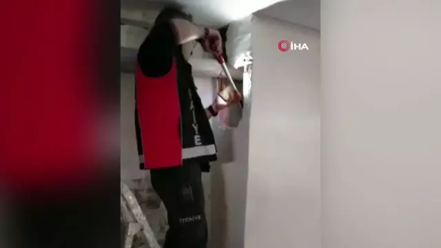 Havalandırmada mahsur kalan anne kedi ve yavrularını itfaiye ekipleri kurtardı