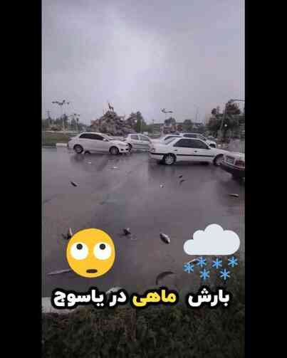 İran yaşanan şiddetli yağış esnasında gökten canlı balık yağdı yağdı