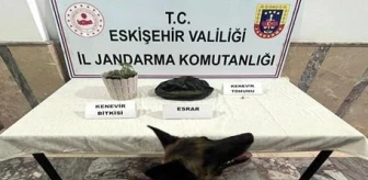 Eskişehir'de Uyuşturucu Operasyonu: 6 Kişi Yakalandı