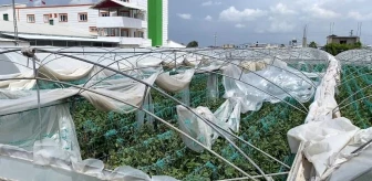 Mersin'de Şiddetli Fırtına ve Rüzgar Ekili Alanlara Zarar Verdi