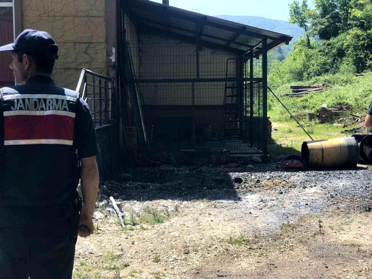 Sakarya'da Orman İşletme Müdürlüğü'ne ait depoda patlama: 3 yaralı