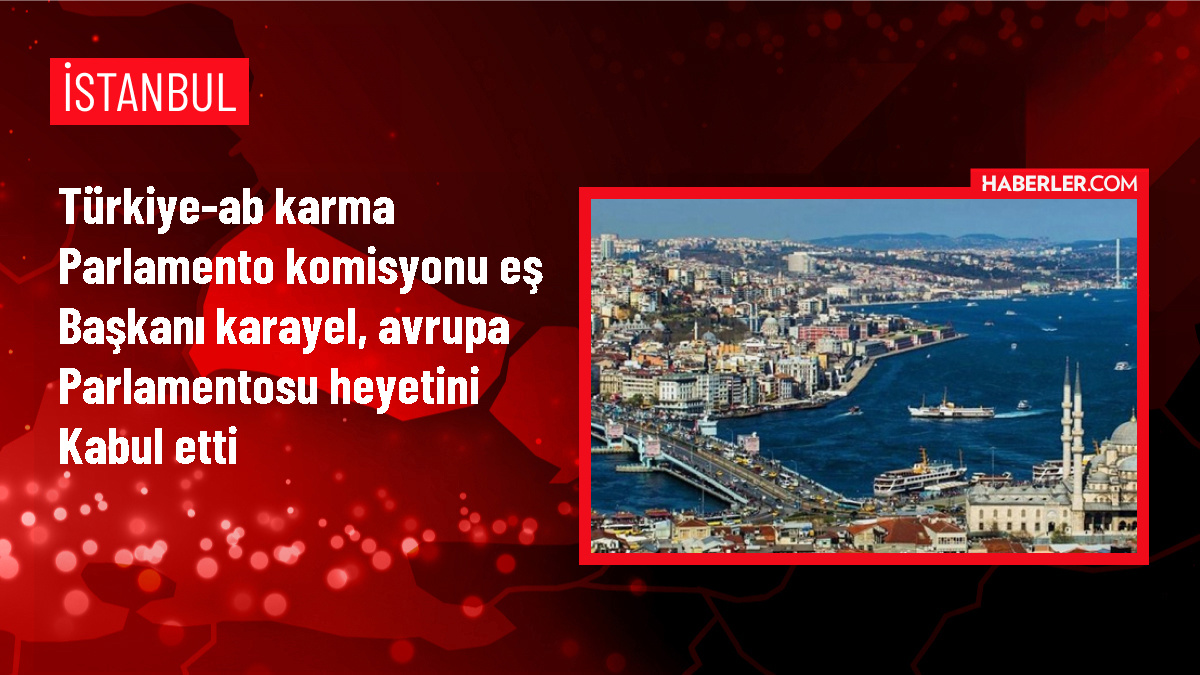 AK Parti Milletvekili İsmail Emrah Karayel, Avrupa Parlamentosu üyelerini kabul etti