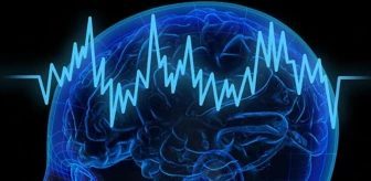 Alfa Beyin Dalgaları: Ne İşe Yararlar ve Nasıl Çalışırlar?