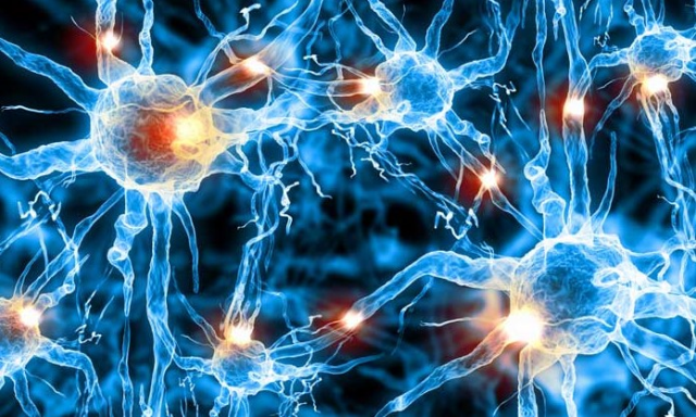 Alfa Beyin Dalgaları: Ne İşe Yararlar ve Nasıl Çalışırlar?