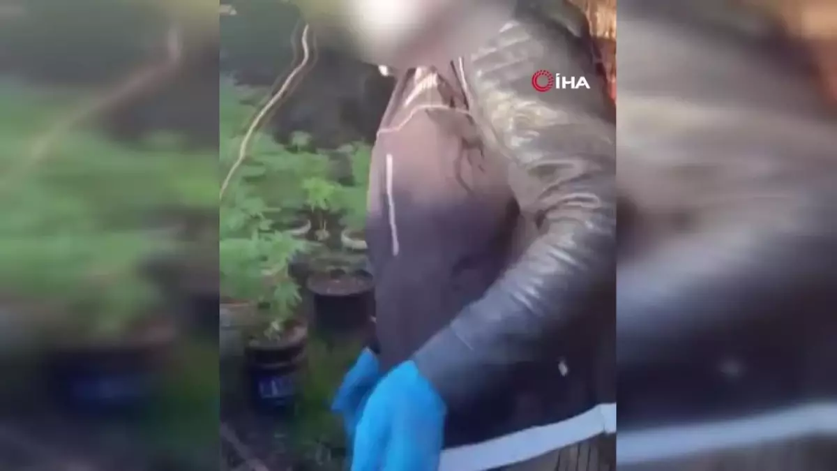 Ayvalık'ta polisten uyuşturucu operasyonu