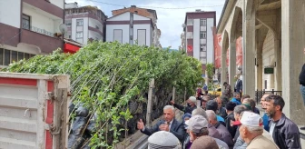 Çaykara'da Vatandaşlara Meyve Fidanı Dağıtıldı