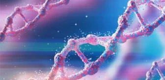 DNA Seyahati: Genetik Kökenlerinizi Keşfetmenin Yeni Yolu