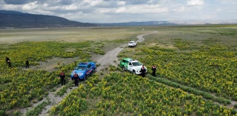 Eber Sarısı'nın bulunduğu alanlar drone ile kontrol ediliyor