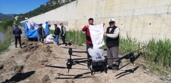 Kastamonu'da Dron ile Çeltik Ekimi Yapıldı