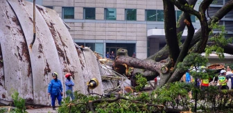 Kuala Lumpur'da Dev Ağaç Devrildi: 1 Ölü, 2 Yaralı
