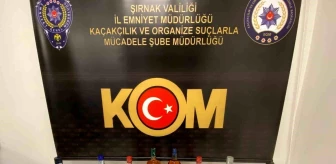 Şırnak'ta yapılan operasyonlarda 50 kişiye adli işlem yapıldı