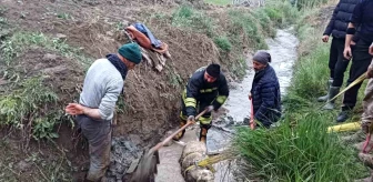 Erzincan'da sulama kanalına düşen koyun itfaiye ekipleri tarafından kurtarıldı