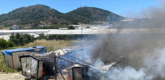 Antalya'da inşaatın bahçesinde çıkan yangında 2 konteyner zarar gördü
