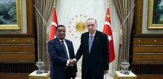 Cumhurbaşkanı Erdoğan, eski Etiyopya Cumhurbaşkanı Wirtu ve Etiyopya Dışişleri Bakanı Taye Atske Selassie ile görüştü