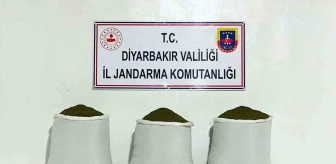 Diyarbakır'da 230 Kilo Toz Esrar Ele Geçirildi