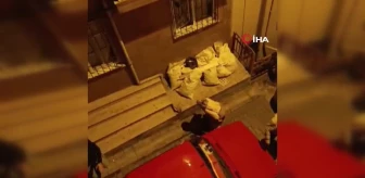 İstanbul'da park yeri kavgası kamerada: Kadın sopayla saldırdı, yumruk ve tekmeler havada uçuştu