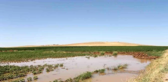 Şanlıurfa'da Tarımsal Sulama Nedeniyle Elektrik Tüketimi Üç Katına Çıktı