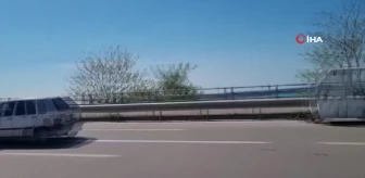 Sinop'ta bir araç büyükbaş hayvana çarptı