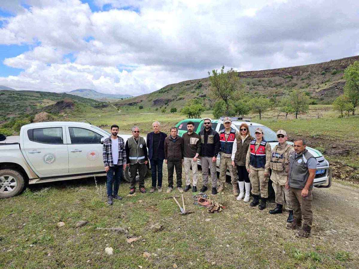 Tunceli'de Yasak Olmasına Rağmen Doğada Salep Toplayanlara Yüksek Cezalar
