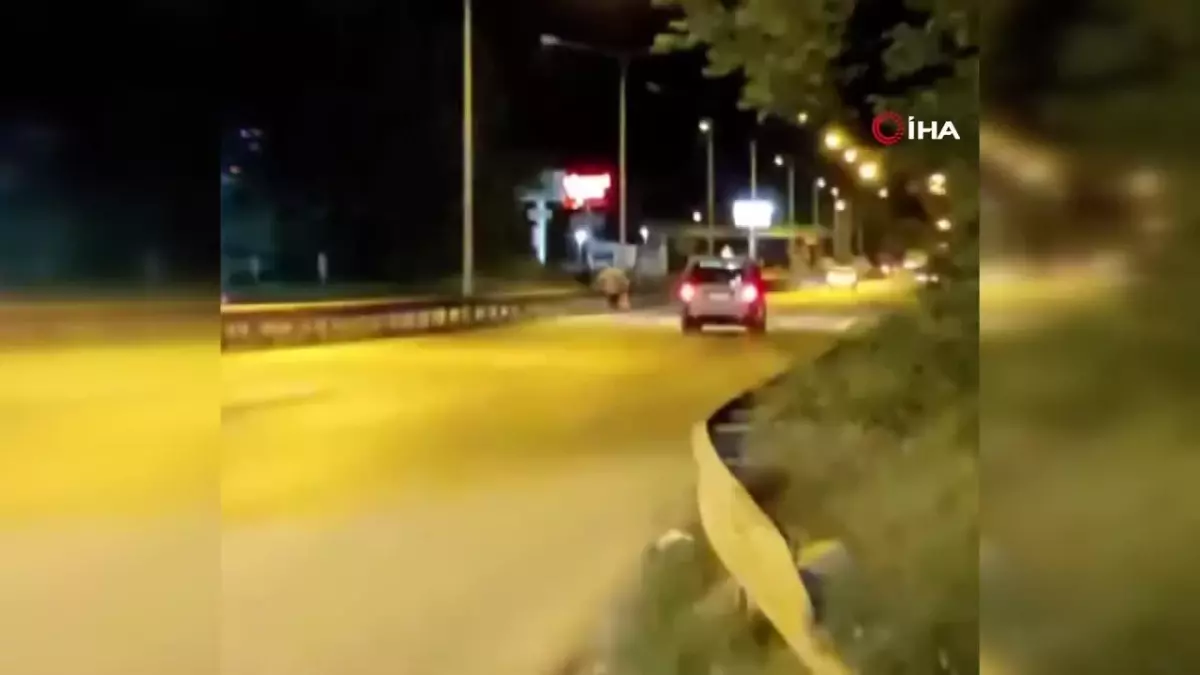 Yalova'da kara yolunda sol şeritten yürüyen vatandaş paniğe neden oldu