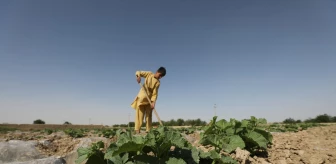 Afganistan'da Kuraklıkla Mücadele İçin Kuştepe Kanalı Projesi