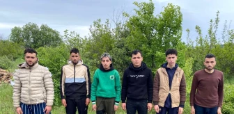 Edirne'de 6 düzensiz kaçak göçmen yakalandı