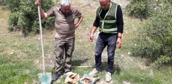 Elazığ'da 130 Kilogram Salep Bitkisine El Konuldu