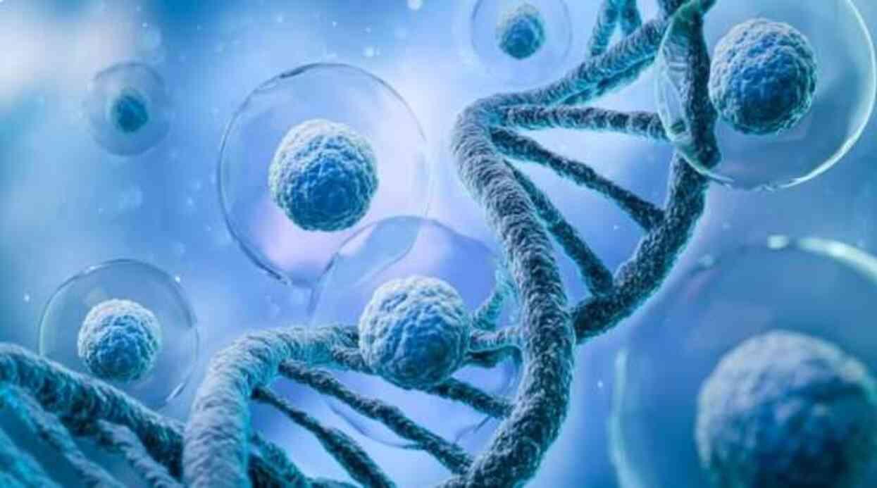 En sık görülen kanser türleri nelerdir? Dünyada en çok ölüme neden olan kanser türü hangileri? En sık görülen kanser türleri nelerdir? Dünyada en çok ölüme neden olan kanser türü hangileri?