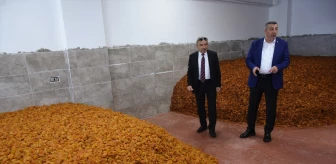 Malatya'da Recep Tayyip Erdoğan Dünya Kayısı Ticaret Merkezi açıldı