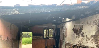 Manisa'da tek katlı evde çıkan yangın söndürüldü