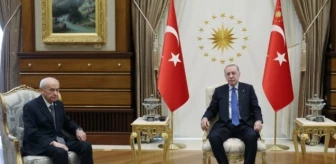 Cumhurbaşkanı Erdoğan ve Devlet Bahçeli neden görüştü, ne konuştular?