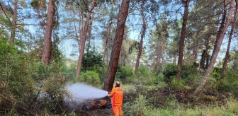 Kemer'de Ormanlık Alanda Çıkan Yangın Söndürüldü