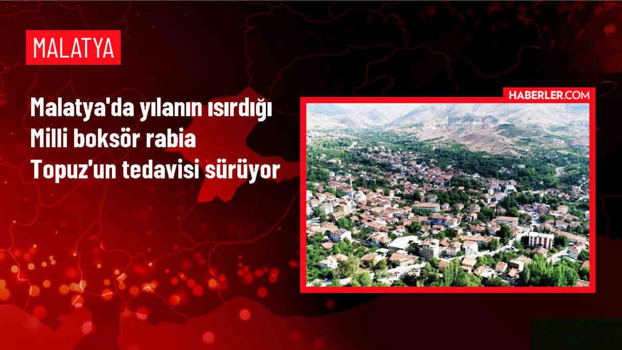 Milli Boksör Rabia Topuz Yılan Isırması Sonucu Hastaneye Kaldırıldı