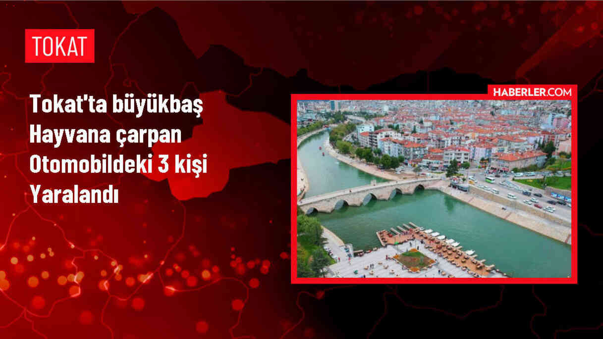 Tokat'ta Otomobilin Büyükbaş Hayvana Çarpması Sonucu 3 Kişi Yaralandı