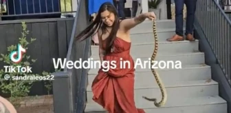 Amerika Birleşik Devletler'inde düğünü basan yılanı elleri ile uzaklaştıran gelinin kız kardeşi, kahraman ilan edildi