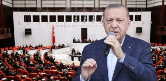 Yeni Anayasa'ya ihtiyaç var mı? Anket yapıldı, çıkan sonuç Cumhurbaşkanı Erdoğan'ı memnun edecek