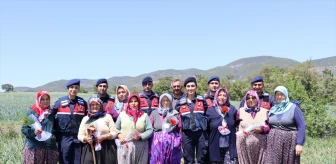 Kastamonu'da jandarma ekipleri tarlada çalışan kadınların Anneler Günü'nü kutladı