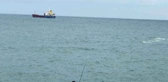 Zonguldak'ta Amatör Balıkçılar Soğuk Havaya Rağmen Balık Tutuyor