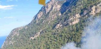 Antalya Konyaaltı'nda Orman Yangını Çıktı