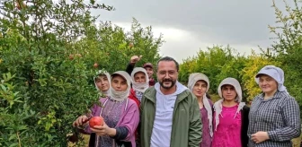 MHP Denizli İl Başkanı Mehmet Ali Yılmaz'dan Çiftçiler Günü Mesajı
